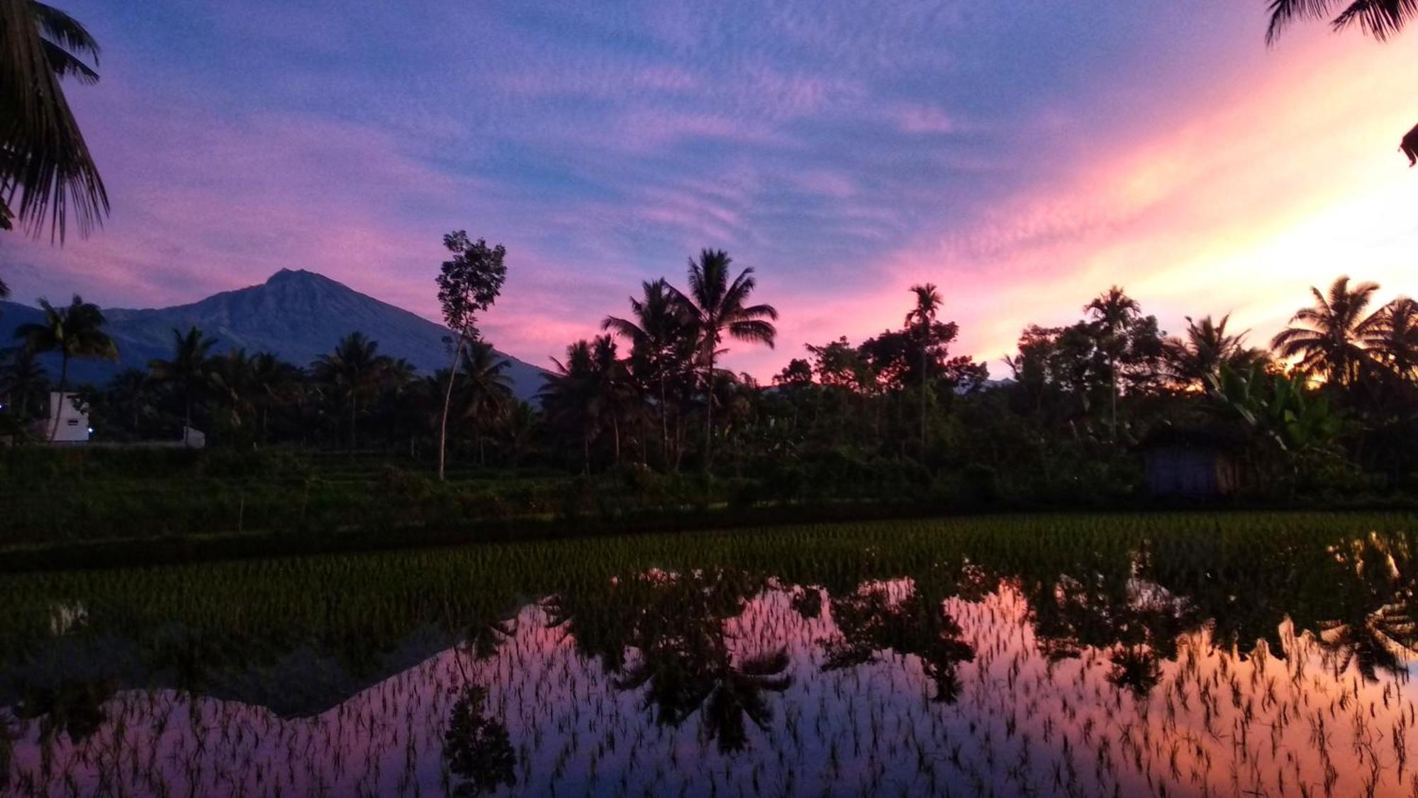Alfarizi Homestay Tetebatu Exterior foto