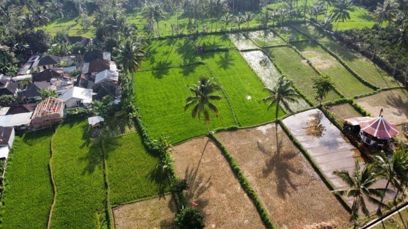 Alfarizi Homestay Tetebatu Exterior foto